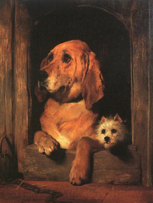 Sir Edwin Landseer Dignity and Impudence France oil painting art